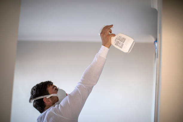 Best Professional Mold Removal  in Monroe, UT