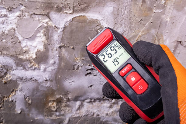 Best Black Mold Removal  in Monroe, UT