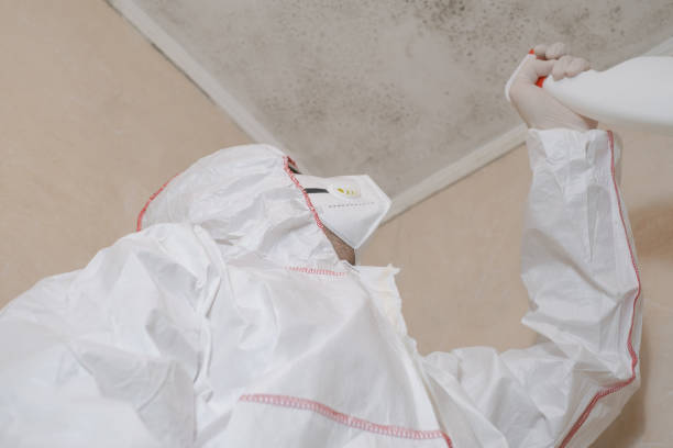 Best Attic Mold Removal  in Monroe, UT